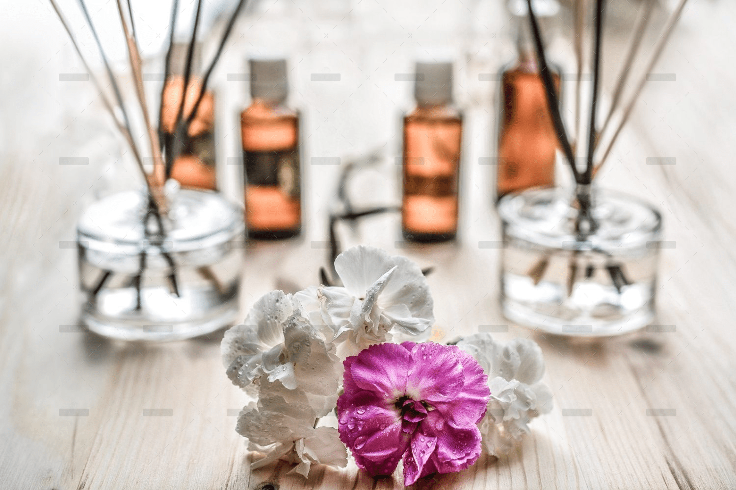 demo-attachment-402-rectangle-1-flowers